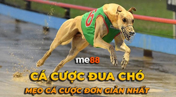 Thông tin về việc đăng ký làm đại lý với Ga6789 - Ga6789