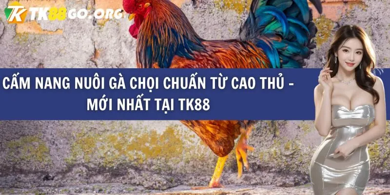 Tổng quan về hệ thống trò chơi M8win hàng đầu - M8win