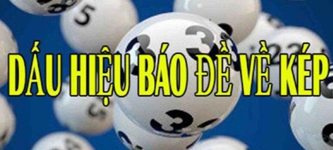 Zalv Kỷ nguyên mới dẫn đầu trong lĩnh vực trò chơi điện tử thùng - Zalv