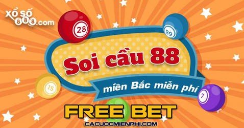 Hướng dẫn dành cho người mới bắt đầu sử dụng nền tảng 789Win! - 789Win