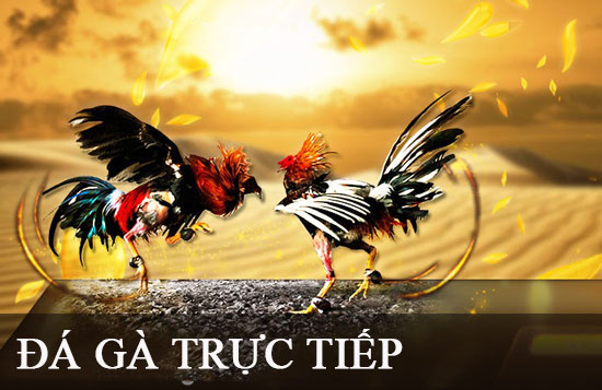 Tải xuống Go99 Games và bắt đầu chơi ngay! - Go99