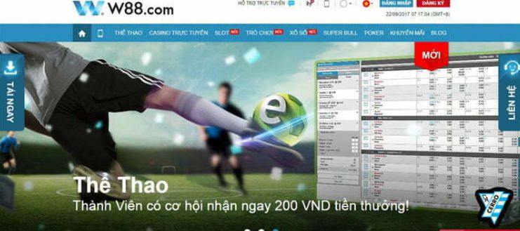 Hướng dẫn cá cược trực tuyến thực tế đạt chuẩn 24N - 24N