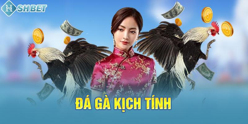 Phần thưởng, trò chơi và trải nghiệm ở cấp độ Ku11 - Ku11
