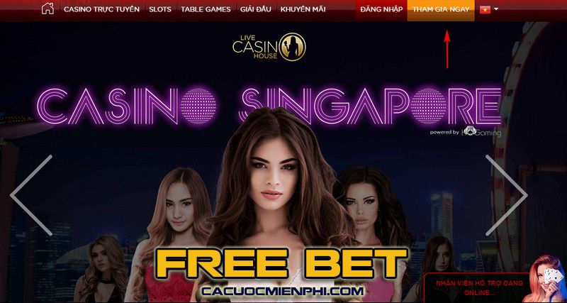 Banca là một nền tảng trò chơi bài trực tuyến uy tín - Banca