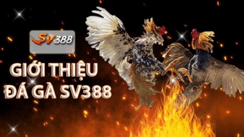 Khuyến mãi: Nhận mã Go99 Fun miễn phí - Go99