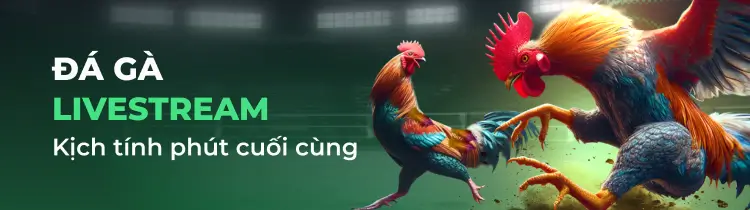 Câu hỏi thường gặp (FAQ) về trang web Mot88 Games - Mot88